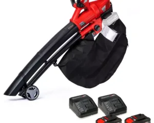 Einhell Cordless Leaf Blower Vacuum Kit - 36V